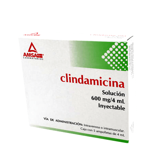 Clindamicina Solución Inyectable 5 ampulas de 4 ml, Lab. AMSA (Clindamicina 600 mg / 4 ml)