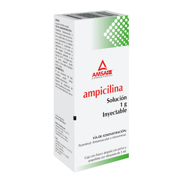 Ampicilina solución inyectable ampula con 5 ml, Lab. AMSA (Ampicilina 1 g)